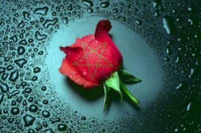 une fleur